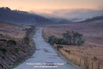 Morning light over rural road near Pescadero, San Mateo County, California