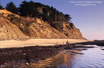 Family exploring tidepools at Fitzgerald Marine Reserve, Montara, San Mateo coast, California