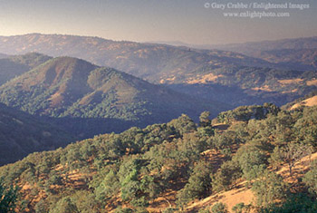 Afternoon light as seen from high in the wild rolling hills of rural Santa Clara County, near Mount Hamilton, California