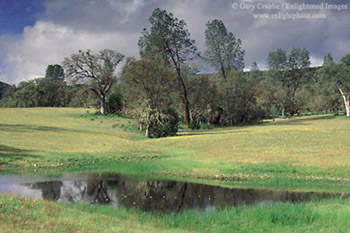 San Antonio Valley in Spring, near Mount Hamilton, Santa Clara County, California