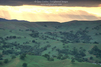 Sunset light through storm clouds in spring over green hills and oak trees in the rural hills of Santa Clara County, near Mount Hamilton, California