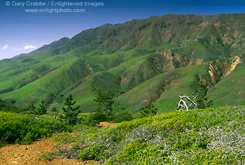 Photo: Green hills in spring near Christy Ranch, Santa Cruz Island, Southern California Coast