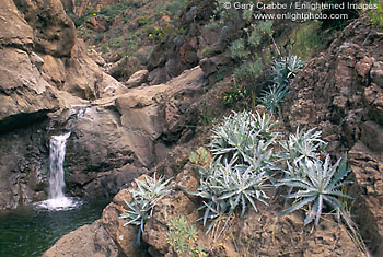 Photo: La Cascada waterfall, Santa Cruz Island, Channel Islands, Southern California Coast