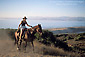 Female horesback rider riding horse, Montana del Oro State Park, near Los Osos, Central Coast, California