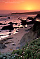 Lone elephant seal on sand beach at sunset, Piedras Blancas, Central Coast, California