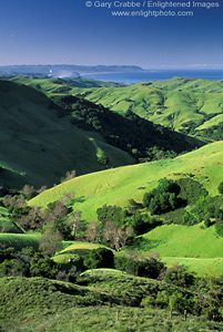 Rolling green hills in spring overlooking the Pacific Ocean on a clear day, near Cambria, Central Coast, California; Stock Photo photography picture image photograph fine art decor print wall mural gallery