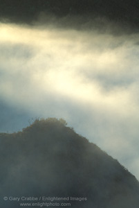 Sunrise light on coastal fog over hillside near Cambria, Central Coast, California; Stock Photo photography picture image photograph fine art decor print wall mural gallery