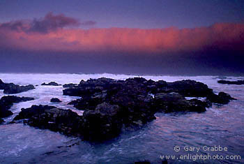 Sunrise light on coastal fog bank over the Pacific Ocean at Asilomar, Carmel coast, Monterey Peninsula, California