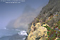 Fog along steep coastal cliffs of Big Sur, Monterey County, California