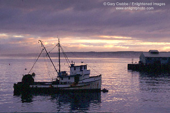 Commercial fishing boat at sunrise in Monterey Bay, Monterey, California