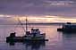 Commercial fishing boat at sunrise in Monterey Bay, Monterey, California