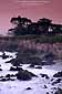 Evening light over wave and coastal cliffs near Pacific Grove, Monterey Peninsula, California