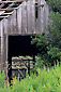 Old barn, Garland Ranch Regional Park, Carmel Valley, Monterey Co., California