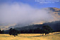 Coastal fog and hills, Carmel Valley, Monterey County, California
