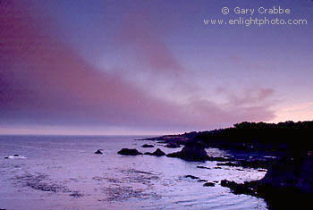 Sunrise light on fog bank over the Mendocino Coast, near Fort Bragg, California