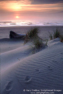 Sunset at Gold Bluff Beach, Prairie Creek Redwoods State Park, Humboldt County, California