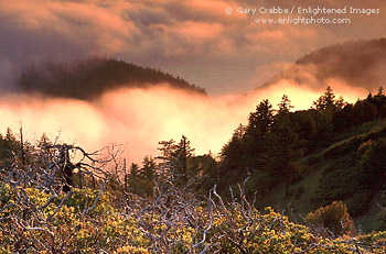 Fog and hills at sunset on the Lost Coast, near Shelter Cove, Humboldt County, California