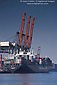 Container cargo ship and industrial shipping cranes at the Port of Los Angeles, San Pedro, California