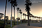 Palm tree lined sidewalk walkway recreation path at sunset, Long Beach Harbor, California