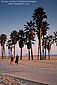 Two women walking on palm tree lined path next to sand beach on coast at Santa Monica, California