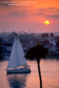 Catalina Sailboat at sunset in channel, Newport Harbor, from Corona del Mar, Southern California Coast