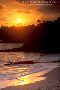 Golden orange sunset over palm trees, apartment, and sandy ocean beach shore, on the coast at Laguna Beach, California