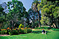 Man and pet dog sitting in green grass garden lawn, Balboa Park, San Diego, California