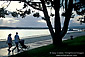 Couple walking on path with baby stroller along Mission Bay, San Diego County Coast, California