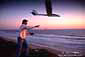 Throwing a radio controlled glider into the wind from coastal bluff at sunset, Carlsbad, San Diego County Coast, California