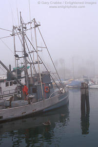 Fishing boat and fog at the Santa Barbara Harbor, Santa Barbara, California