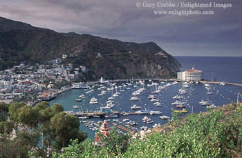 Overlooking Avalon Harbor on Catalina Island, California