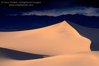 Sunset light on desert sand dune after a storm, near Stovepipe Wells, Death Valley National Park, California; Stock Photo image picture photograph art decor print wall mural gallery