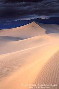 Sunset light on desert sand dune after a storm, near Stovepipe Wells, Death Valley National Park, California; Stock Photo image picture photo Phograph art decor print wall mural gallery
