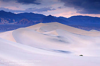 Pastel light in evening on desert sand dunes, near Stovepipe Wells, Death Valley National Park, California; Stock Photo image picture photograph art decor print wall mural gallery