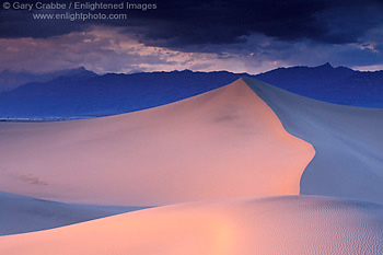 Pink and blue pastel light at sunset on desert sand dune after a storm, near Stovepipe Wells, Death Valley National Park, California; Stock Photo image picture photo Phograph art decor print wall mural gallery