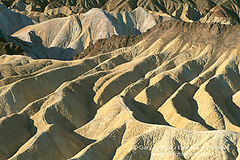 Golden yellow eroded ridges and gullies on barren hills near Zabriskie Point, Death Valley National Park, California; Stock Photo image picture photo Phograph art decor print wall mural gallery