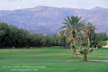 Lush green grass at Furnace Creek Golf Course, Death Valley National Park, California; Stock Photo image picture photo Phograph art decor print wall mural gallery