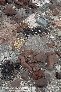 Crushed rock due to mechanical weathering, near Badwater, Death Valley National Park, California; Stock Photo image picture photo Phograph art decor print wall mural gallery