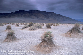 Dark storm clouds over Tucki Mountain and Devils Cornfield in spring, Death Valley National Park, California; Stock Photo image picture photo Phograph art decor print wall mural gallery