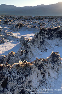 Detail of jagged salt crust at Devils Golf Course, Death Valley National Park, California; Stock Photo image picture photo Phograph art decor print wall mural gallery
