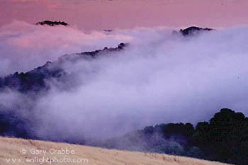 Fog bank rolling in over the Berkeley Hills at sunset from San Francisco Bay, California