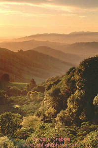 Sunrise over rolling green hills in spring, near Orinda, from the Berkeley Hills, Contra Costa County,  San Francisco Bay Area, California