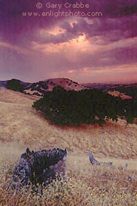 Stormy sunrise from Summit Ridge, Lafayette, Contra Costa County, San Francisco Bay Area, California