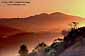 Sunrise over Mount Diablo, Orinda, and Lafayette, from San Pablo Ridge, Contra Costa County, California 