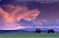 Alpenglow on storm cloud at sunset over pasture in the Tassajara Region, near Livermore, California