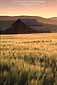 Sunrise over barn and pasture in the Tassajara Region, near Livermore, California