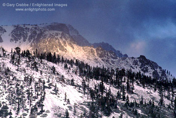 Sunrise light through winter storm on Mount Tallac, near Lake Tahoe, California