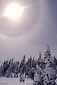 Sun halo over snow covered trees at Castle Peak, near Lake Tahoe, California