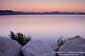 Looking across the lake at sunrise from the East Shore, Lake Tahoe, Nevada