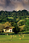 Sunset light through spring storm clouds over sheep in pasture, Anderson Valley, Mendocino County, California